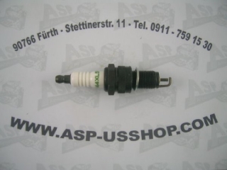 Zündkerzen - Spark Plugs  Jeep 4,2L  78-80